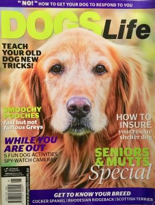 Dogs Life Magazine cover