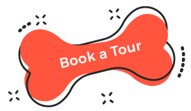 http://puppuccino.com.au/wp-content/uploads/2019/08/book_tour.png