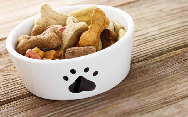 14 Foods You Can Share with Your Dog