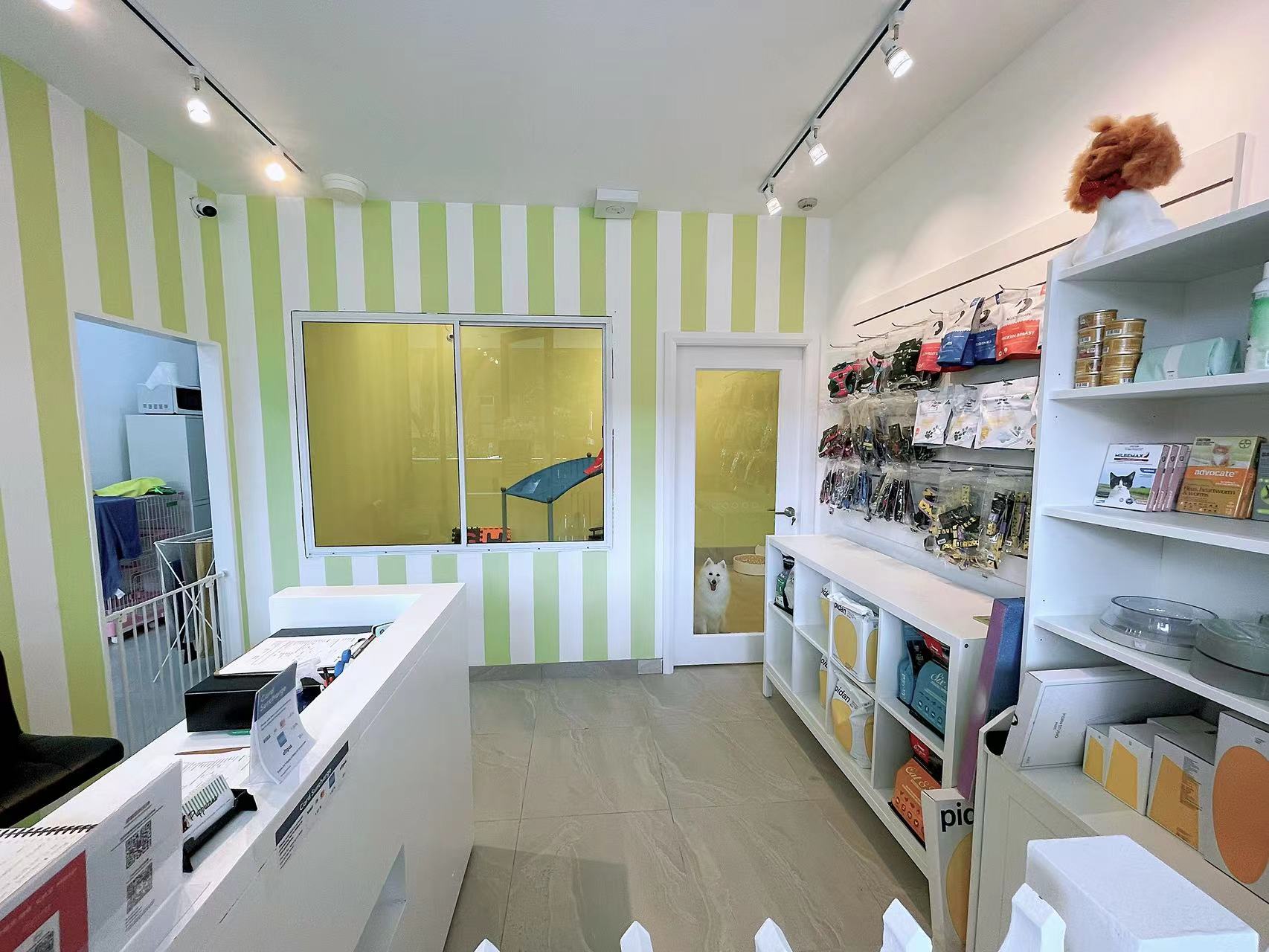 Puppuccino Wolli Creek pet spa