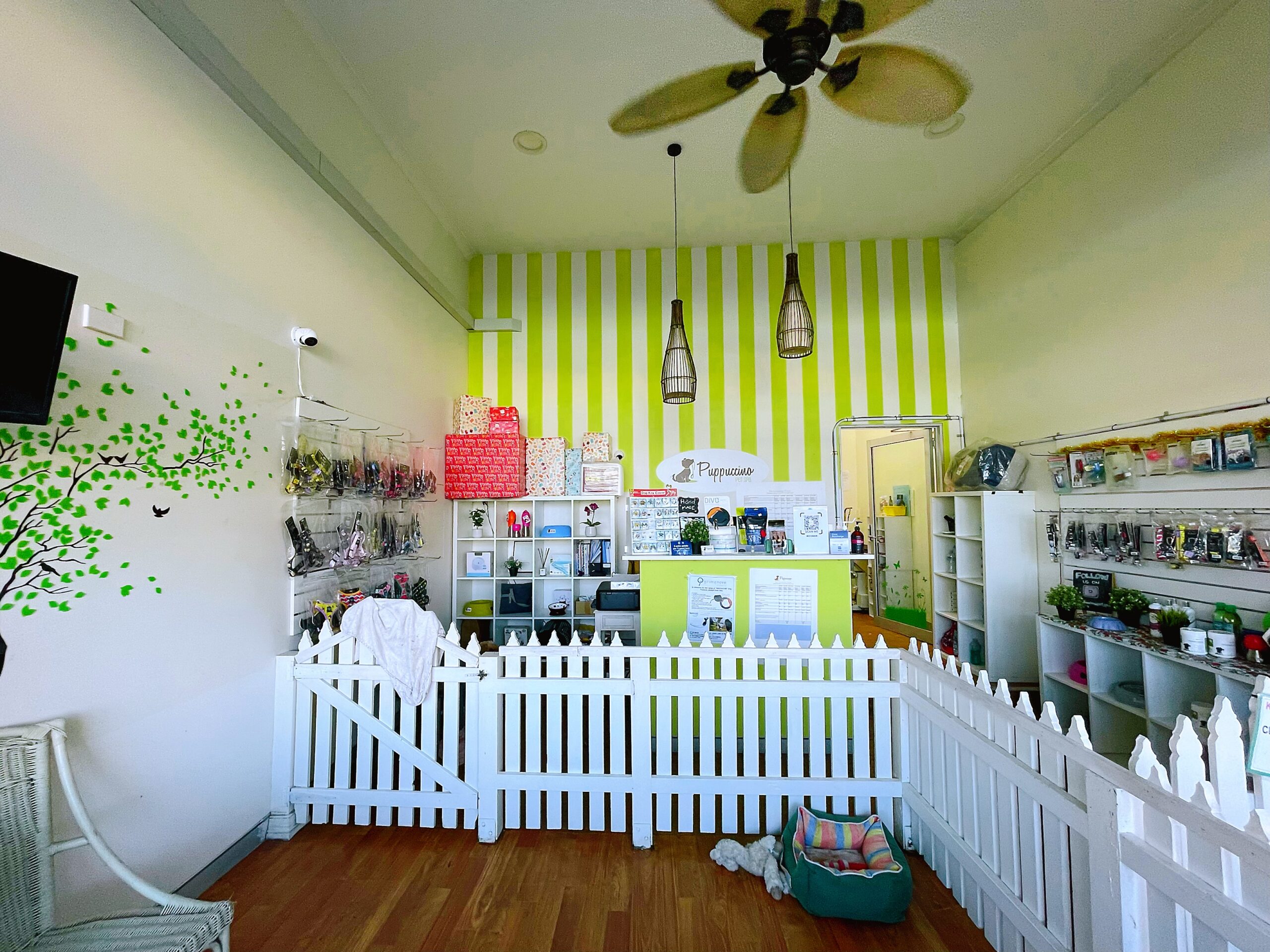 Puppuccino Mosman pet spa