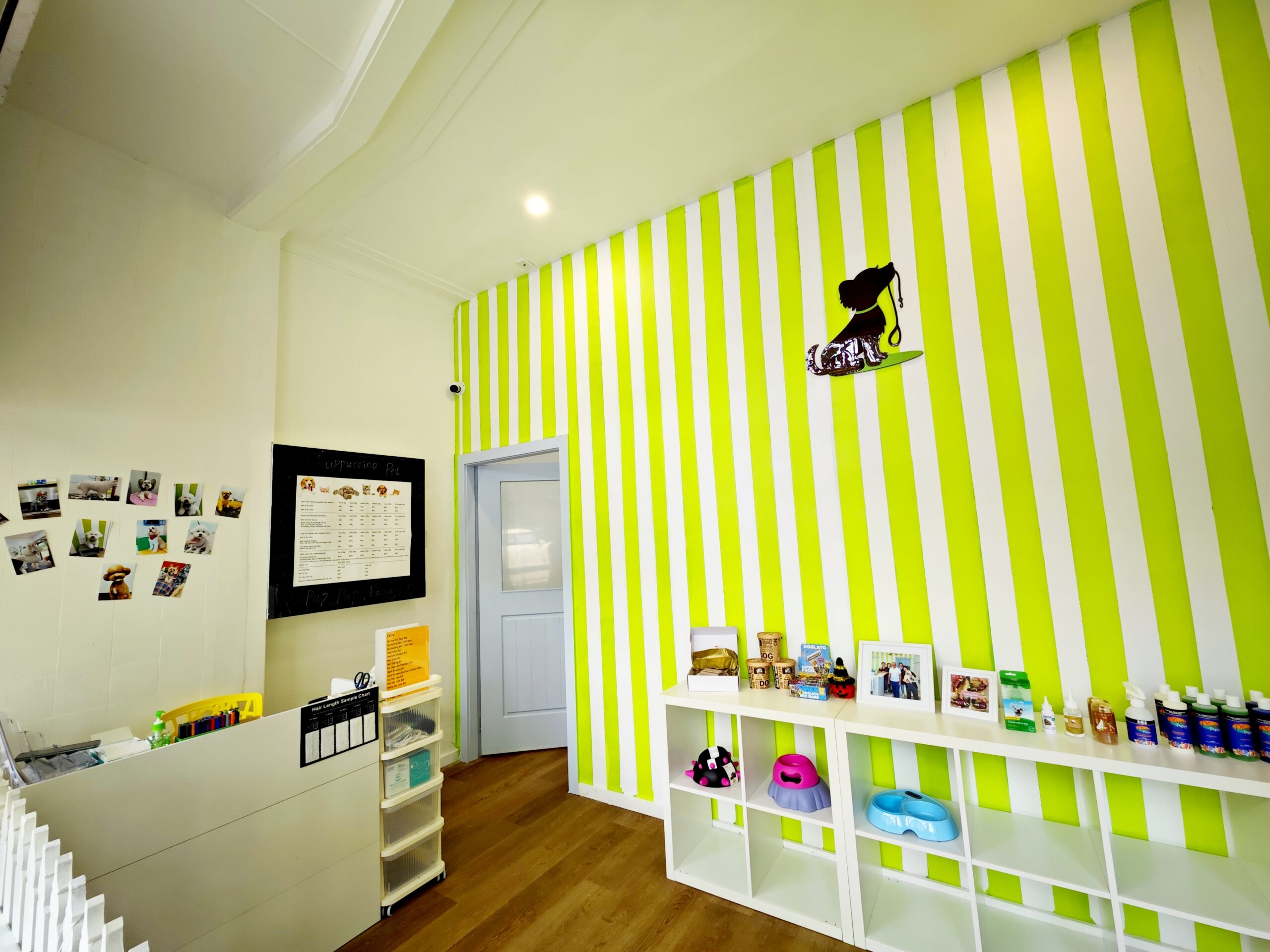 Puppuccino Turramurra pet spa